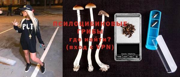 PSILOCYBIN Бугульма